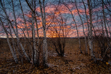 Winter sunset in the north of Russia is very beautiful