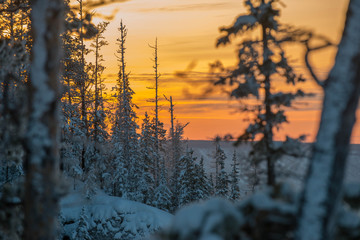 Winter sunset in the north of Russia is very beautiful