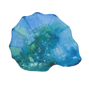 watercolor blue shell