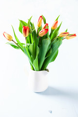 Fototapeta na wymiar Bouquet of tulips
