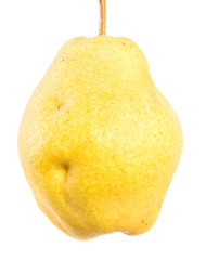 fruit of yellow ripe pear. on a white background