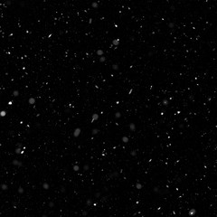 Isolated natural white snow texture effect on black night background. Winter snowflakes.