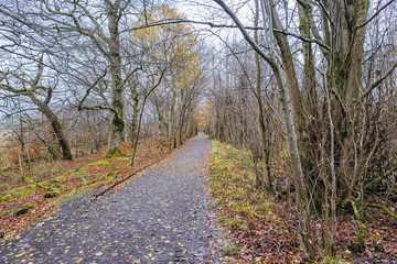 Autumn Footpaths in Scotland