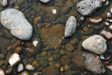 boulders on the shore in the green sludge
