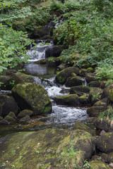 Wasserfall in der Natur