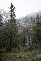 Landscape With A Mountain In The Fog. Coniferous Trees. Panorama. National Park "Taganay", Ural Mountains, Russian Federation.