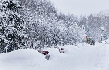 Obraz premium Snow removal in the winter park