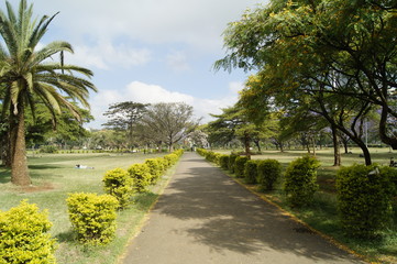 Central Park in Nairobi; KENYA