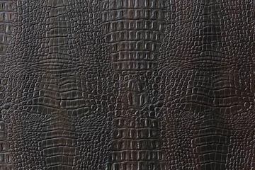 Poster Texture of crocodile artificial leather of brown color. © Борис Ряузов