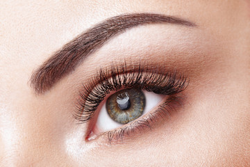 Female Eye with Extreme Long False Eyelashes. Eyelash Extensions. Makeup, Cosmetics, Beauty. Close...