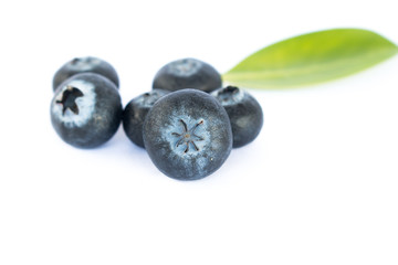 Fresh blueberry on white background