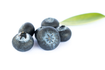 Fresh blueberry on white background