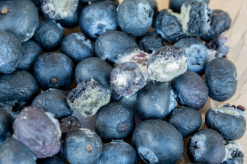 Rotten Blueberry, Blueberry went mouldy