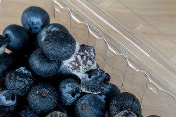 Rotten Blueberry, Blueberry went mouldy