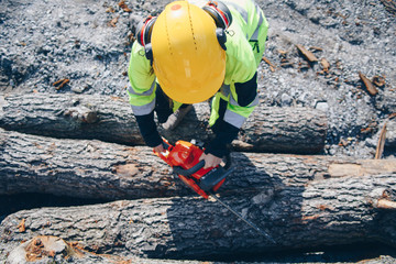Female in safety clothing operating chain saw