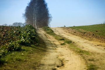 empty path passing through fields
