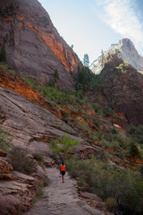 red rock cliffs in national park