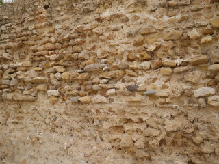 texture of old wall