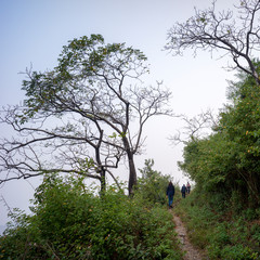 Tourists on hiking trail to Kunjapuri Devi Temple, Adali, Narendranagar, Tehri Garhwal, Uttarakhand, India
