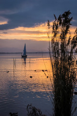 Yacht sailing at sunset with reeds