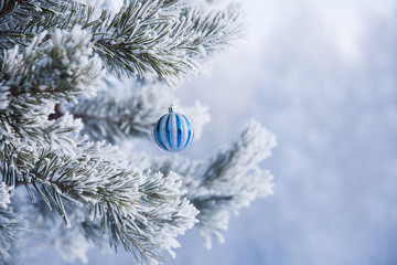 Blurred winter landscape.