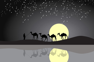 A vector night scene of camel and man