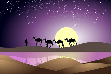 night scene wallpaper of camel and his owner