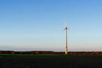 Wind turbines in the evening light on a field Rhineland Palatinate/ Germany