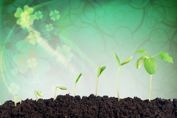 Growth of new life on  background