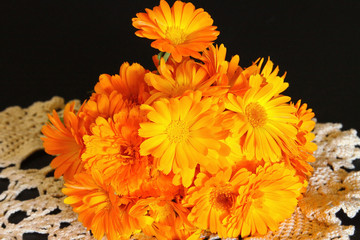 Calendula.