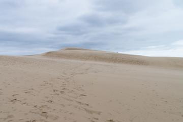 Fototapeta na wymiar Immensité de sable de la dune du Pilat