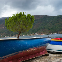 Boats at harbor, Perast, Bay of Kotor, Montenegro
