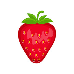 Strawberry  vector illustration isolated on white background. 
