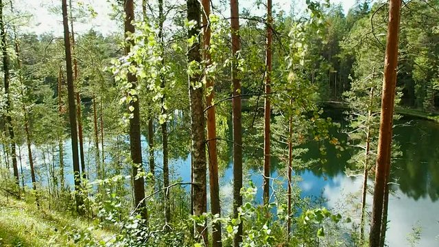 Wild forest and lakes of Northern Europe. Landscape of ecologically clean nature of the North. 