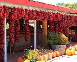 A line of red dried bunches of chilies hangs in front of a store in New Mexico