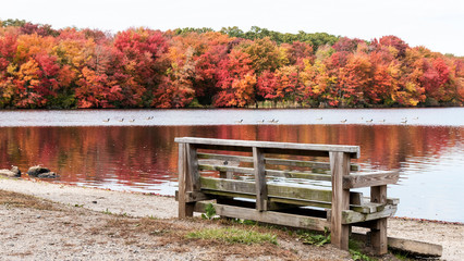 Fall colors on trees across a lake