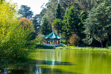 pavilion in the park
