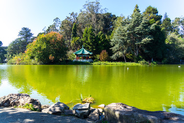 Obraz premium pavilion in the park