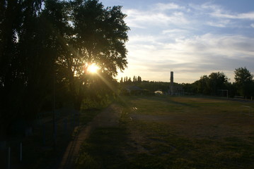 SONY DSC