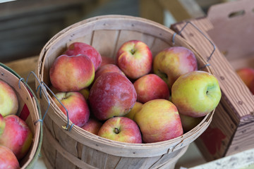 Basket of organic apples 