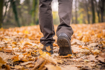 Feet shoes walking on fall leaves outdoor with autumn season nature (color toned image)