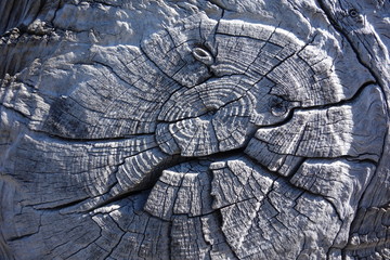 Holzbalken