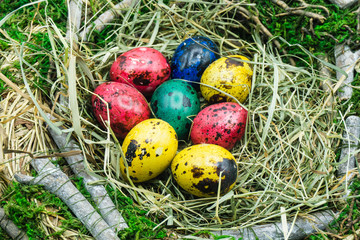 Buntes Wachteleiernest