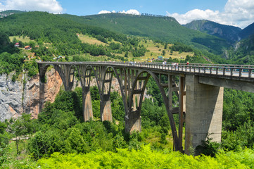 Fototapeta na wymiar Durdevica Tara Bridge in Montenegro