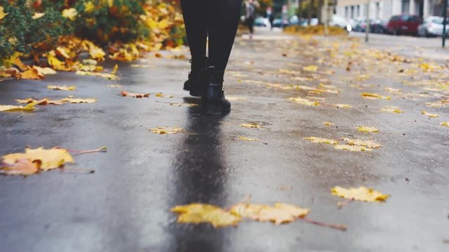 woman walking in autumn street, camera follows female feet in leather shoes on wet asphalt sidewalk