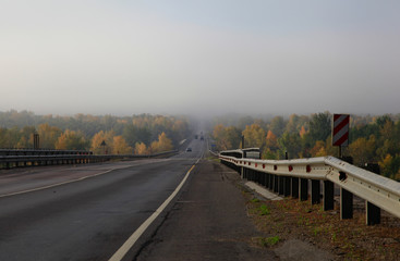 Golden autumn in central Russia. Picturesque trees lit by sunshine - sunny landscape in bright sunlight. Blurred background. Foggy autumn morning.