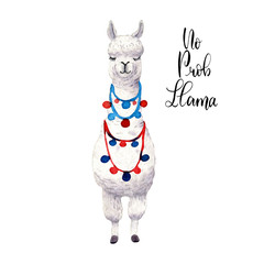 Fototapeta na wymiar Cute watercolor dreaming llama, alpaca and lettering No drama llama. Isolated on white background