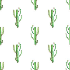 Watercolor painting seamless pattern. Watercolour cactus background, wallpaper, fabric