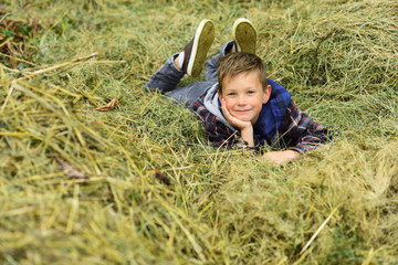 Naklejka na ściany i meble Happy and carefree. Happy boy. Little boy happy smiling. Little boy enjoy relaxing on hay. Its where Im most happy