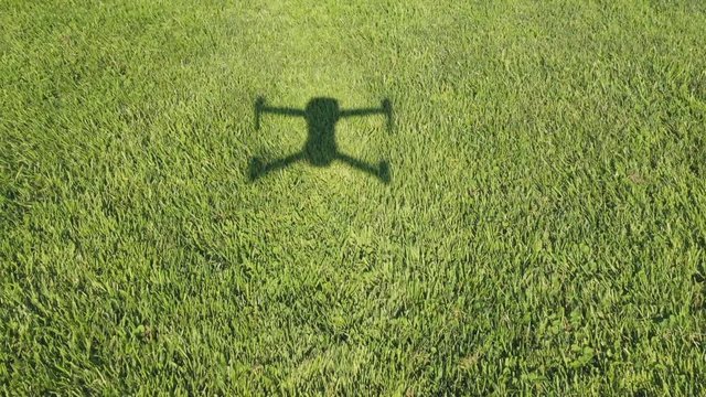 Drone films its own shadow on the grass. Pre flight.